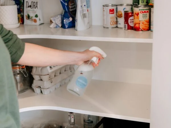 How to Clean Pantry Shelves After Food Spills and Packaging Leaks
